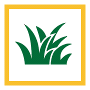 Protect Against Damage